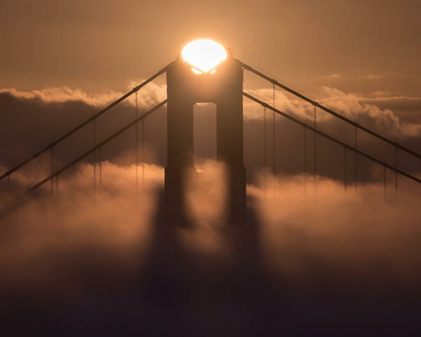 Unrealistically beautiful photographs of waves... fog