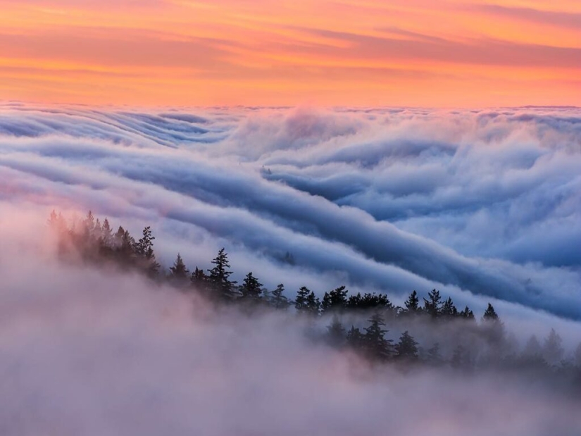 Unrealistically beautiful photographs of waves... fog