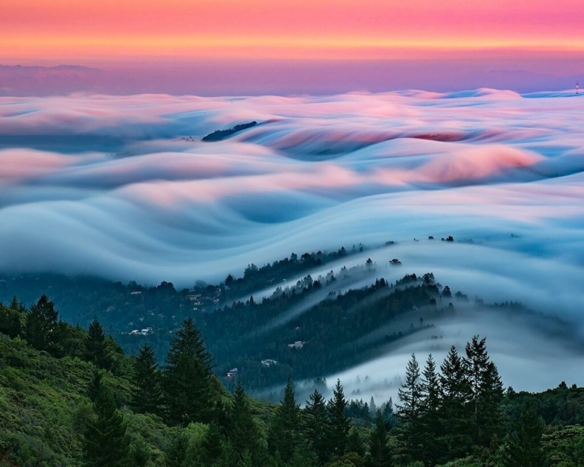 Unrealistically beautiful photographs of waves... fog