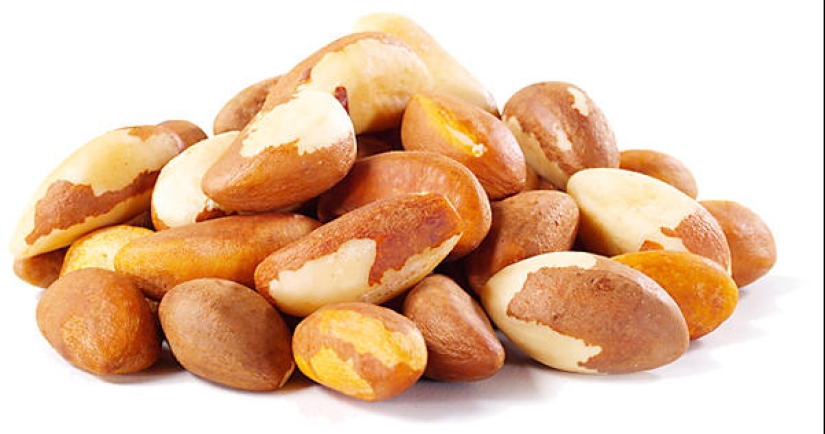 Useful nuts and their properties