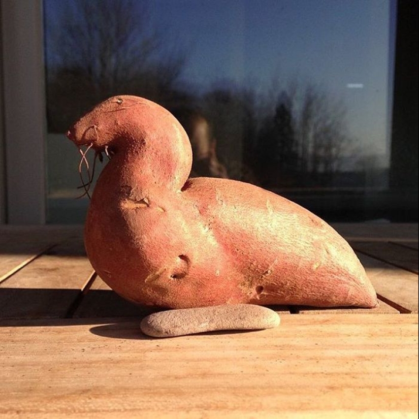 Vegetables and fruits that remind you that nature has a great sense of humor