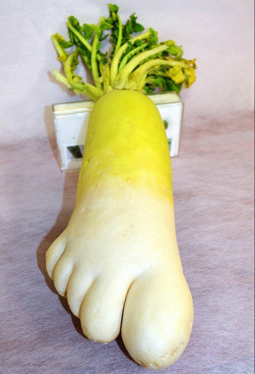 Vegetables and fruits that remind you that nature has a great sense of humor