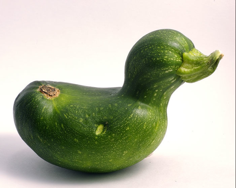 Vegetables and fruits that remind you that nature has a great sense of humor