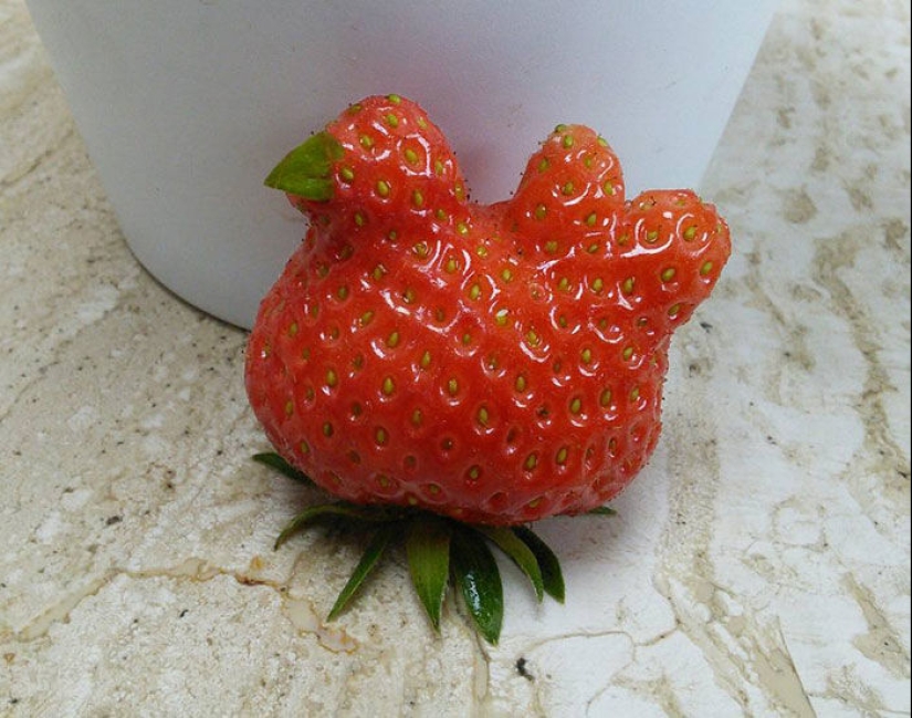 Vegetables and fruits that remind you that nature has a great sense of humor