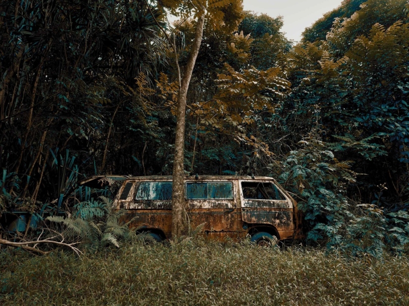 Vehículos abandonados en el Hawaiano de la selva: un proyecto fotográfico de Tomás Strigelsky