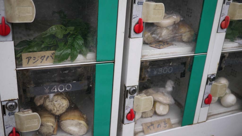 Vending machines in Japan