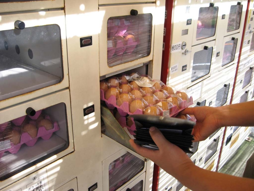 Vending machines in Japan