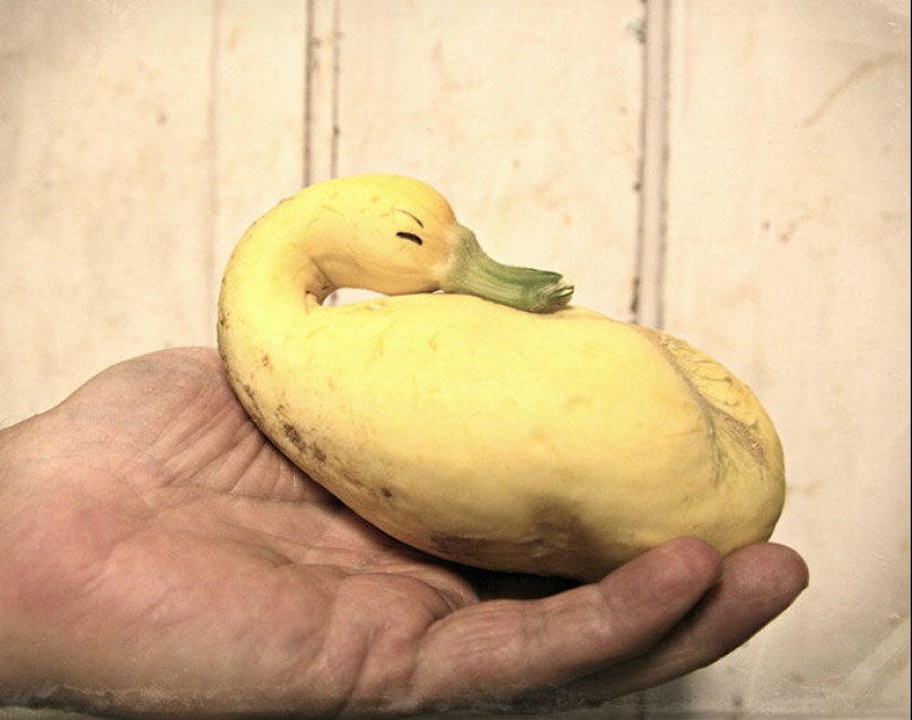 Verduras y frutas que te recuerdan que la naturaleza tiene un gran sentido del humor