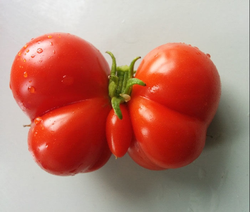 Verduras y frutas que te recuerdan que la naturaleza tiene un gran sentido del humor