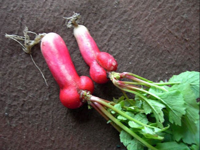 Verduras y frutas que te recuerdan que la naturaleza tiene un gran sentido del humor