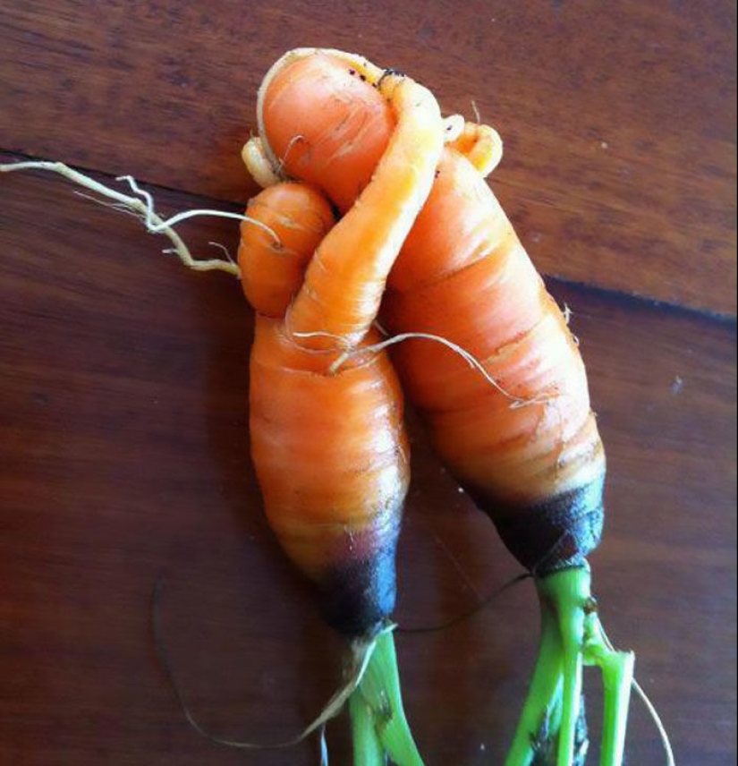 Verduras y frutas que te recuerdan que la naturaleza tiene un gran sentido del humor