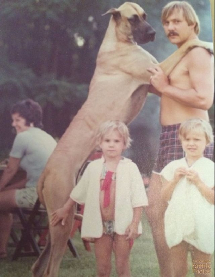 Very strange family photos with pets