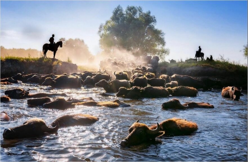 Viajes, cultura y humanidad: 10 imágenes impresionantes del fotógrafo F. Dilek Yurdakul