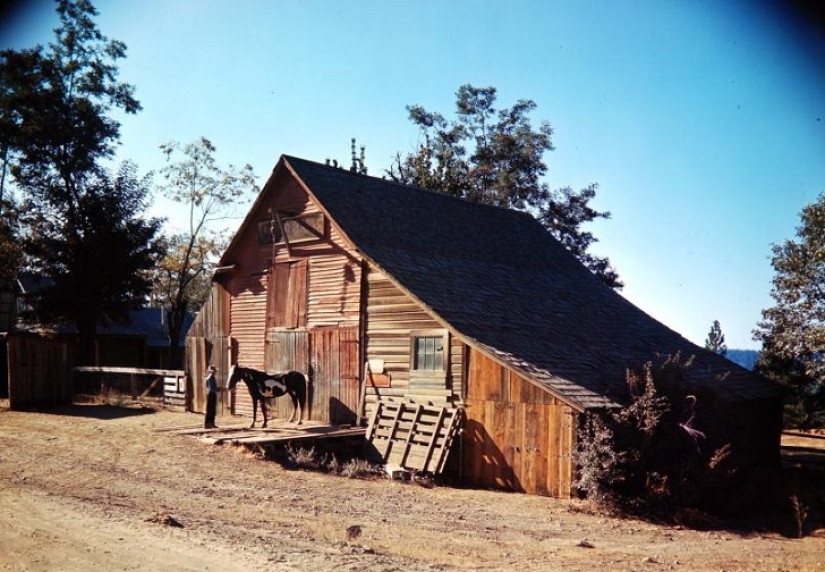 Vintage photos of the Gold Rush Legacy