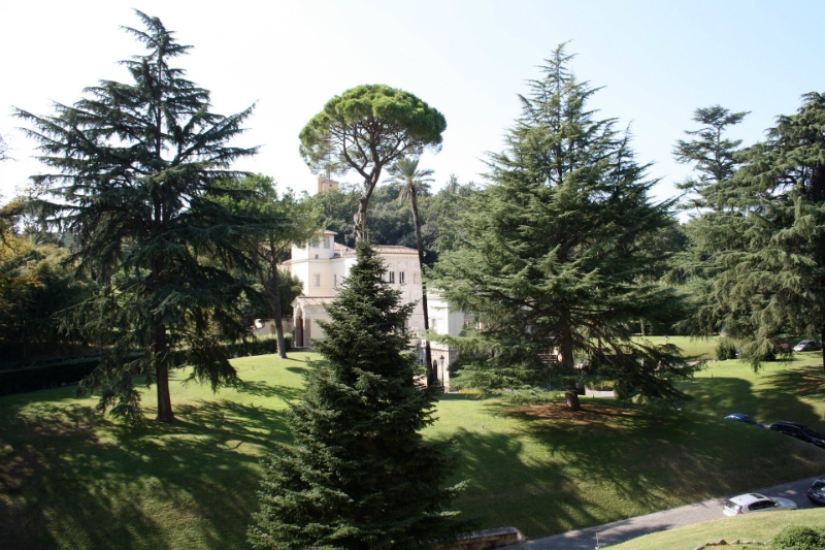 Walking around the Vatican: what lies behind the walls of a separate state in the center of Rome