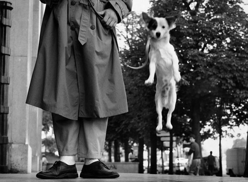 Warm and funny photos of Elliot Erwitt