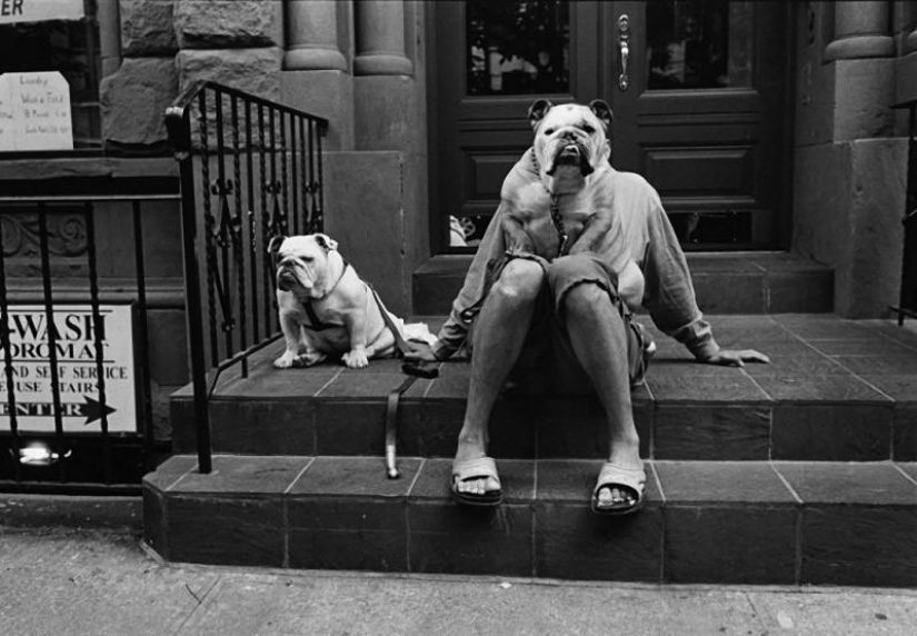 Warm and funny photos of Elliot Erwitt