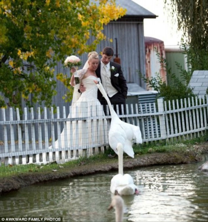 Wedding photos that make it really bitter