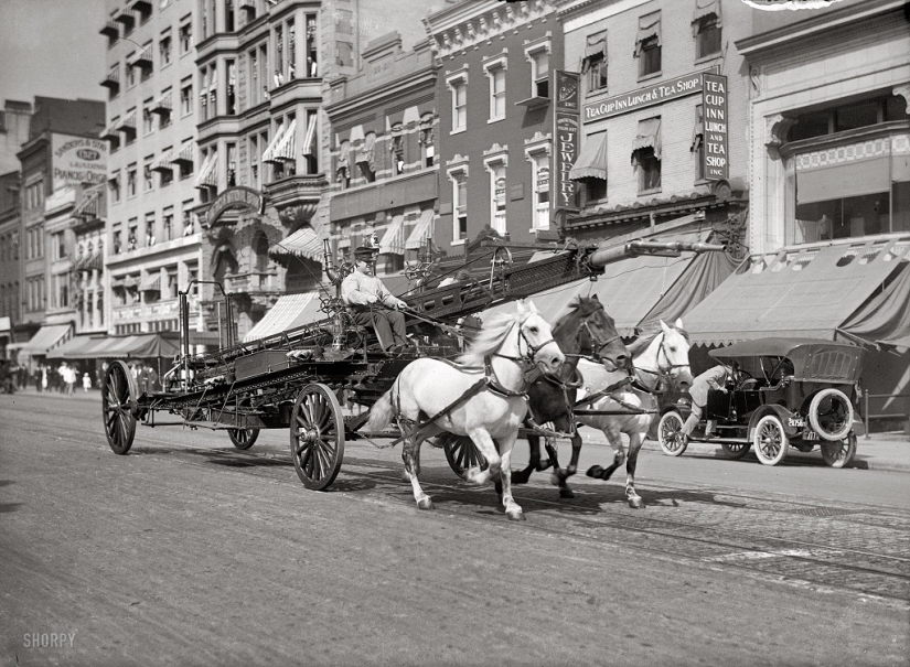 What American megacities looked like at the beginning of the 20th century