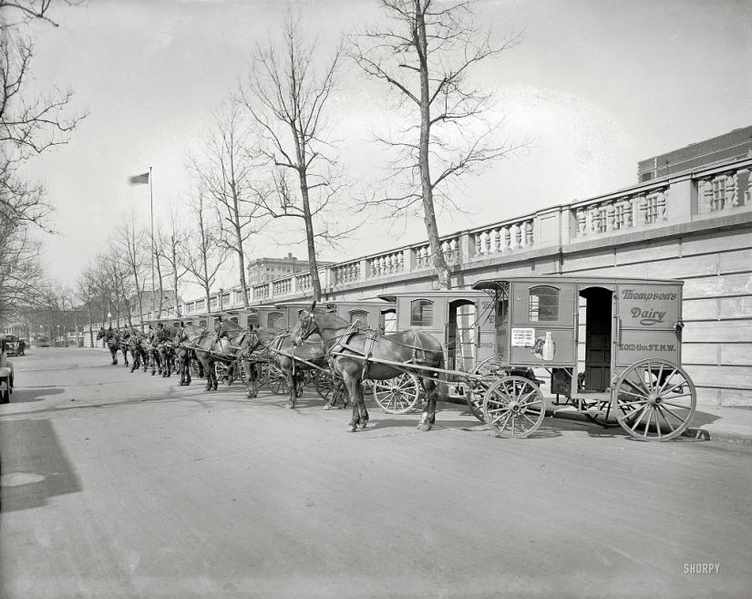 What American megacities looked like at the beginning of the 20th century