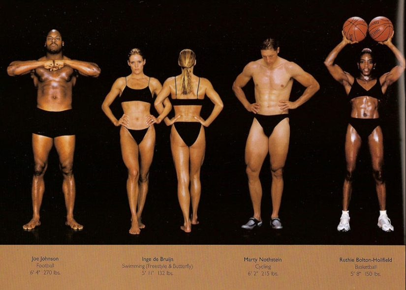 What do athletes&#39; bodies look like in different sports?