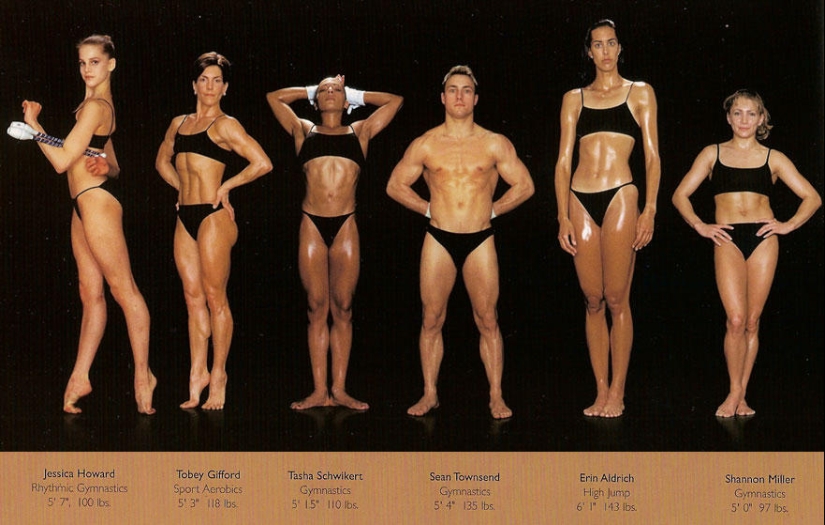 What do athletes&#39; bodies look like in different sports?