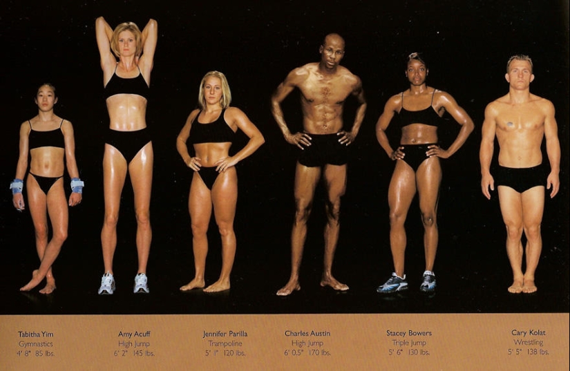 What do athletes&#39; bodies look like in different sports?