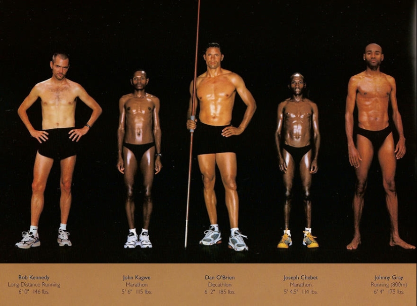 What do athletes&#39; bodies look like in different sports?