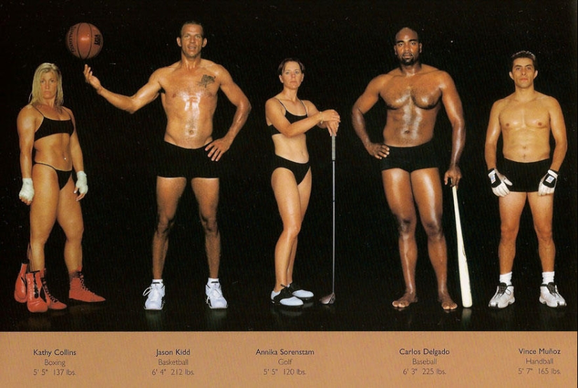 What do athletes&#39; bodies look like in different sports?