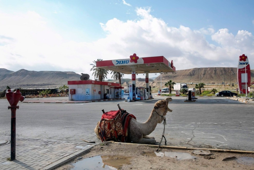 What do gas stations look like in different countries of the world