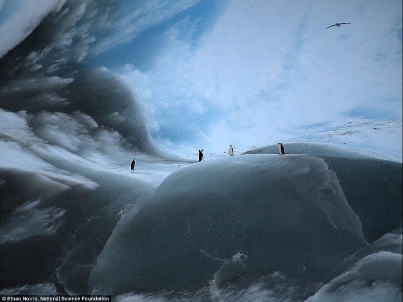 What do the world's oldest icebergs look like