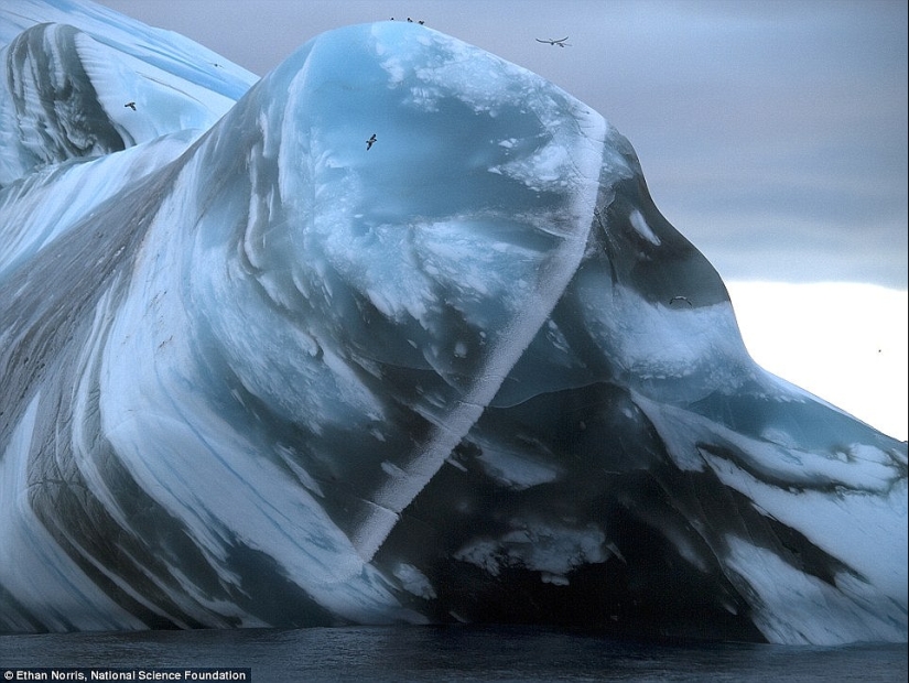 What do the world's oldest icebergs look like