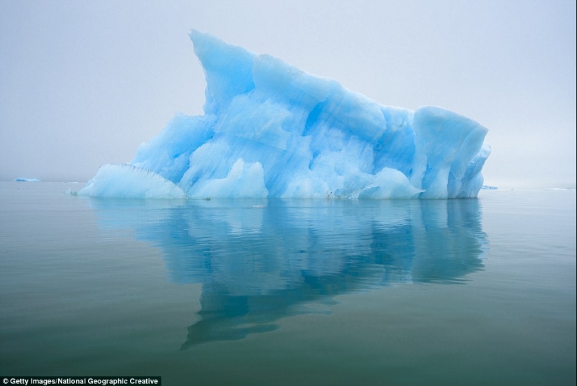 What do the world's oldest icebergs look like