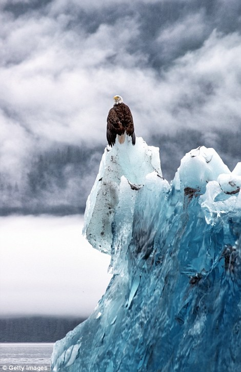 What do the world's oldest icebergs look like