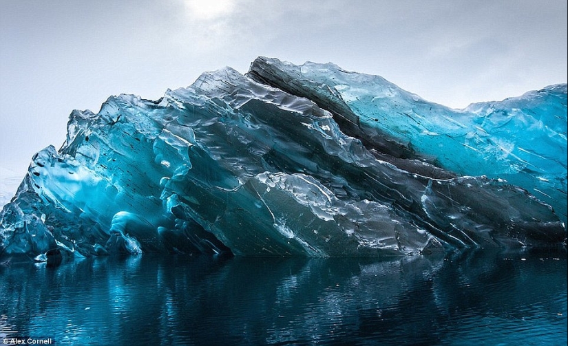 What do the world's oldest icebergs look like