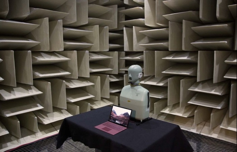 What does the quietest place on Earth look like, where the absence of sounds drives you crazy?