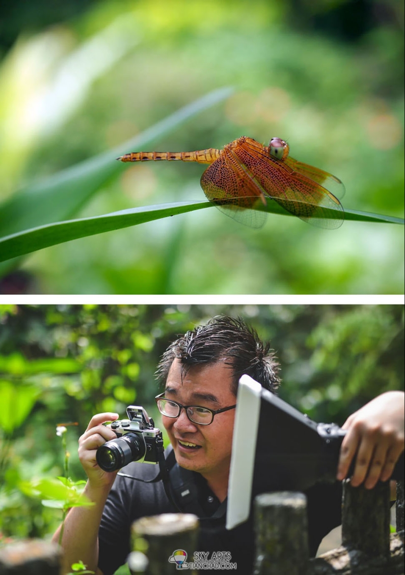 What happens behind the scenes of the most beautiful photo shoots