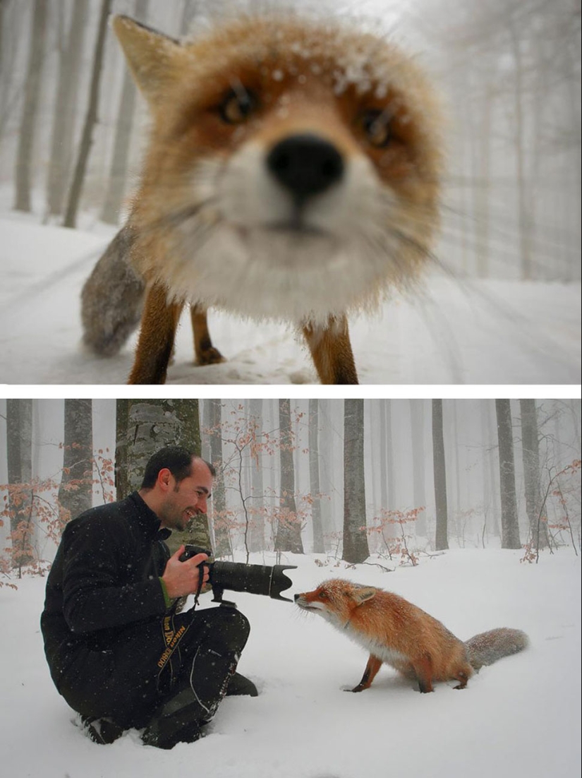 What happens behind the scenes of the most beautiful photo shoots