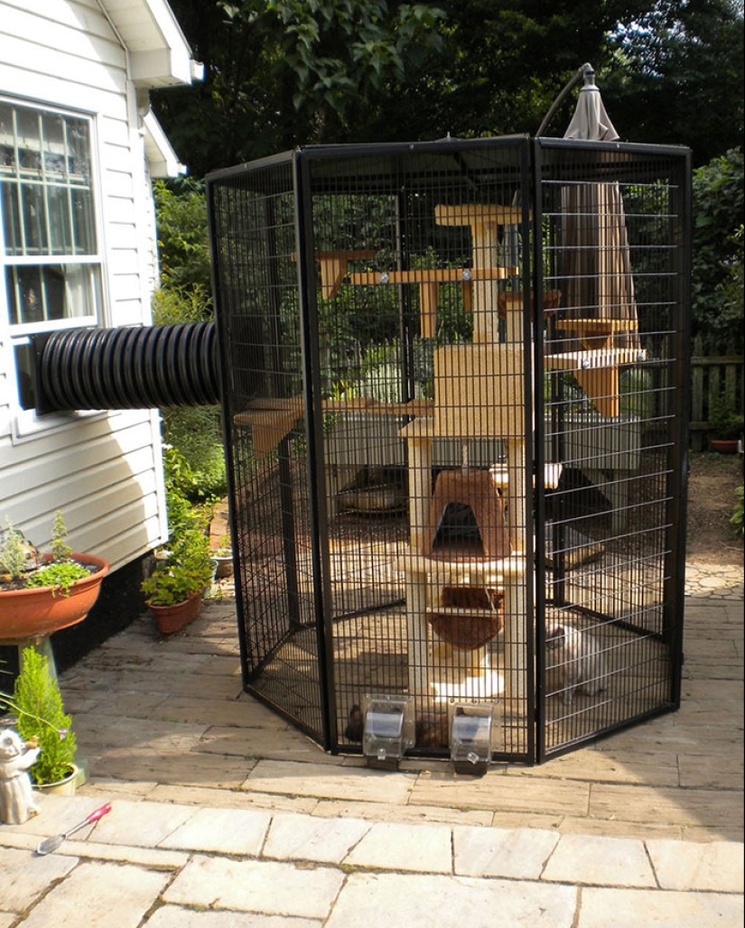 What is and is Koti, Playground for cats outdoors