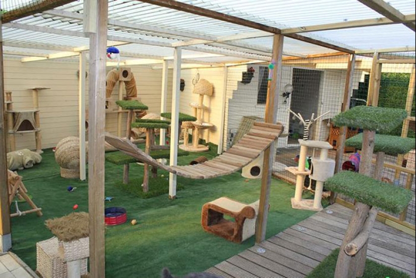 What is and is Koti, Playground for cats outdoors