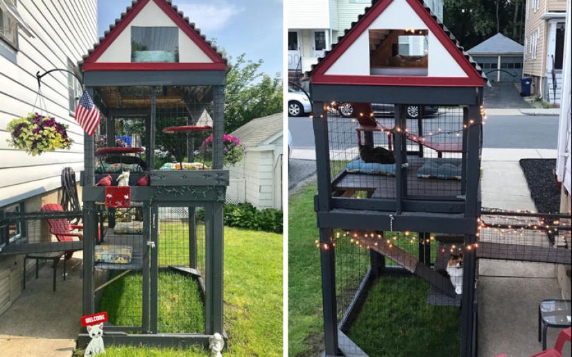 What is and is Koti, Playground for cats outdoors