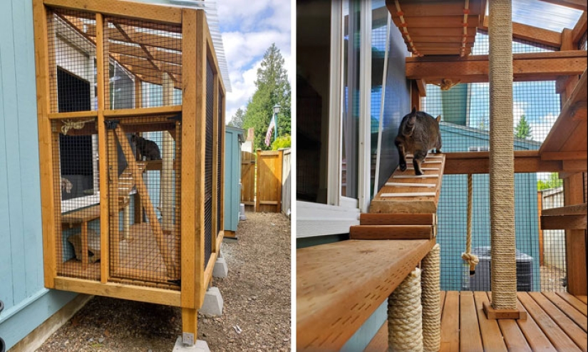 What is and is Koti, Playground for cats outdoors