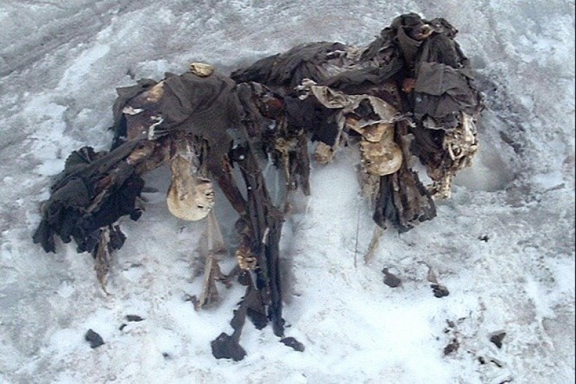 What the ice hides: 12 scary finds found in glaciers
