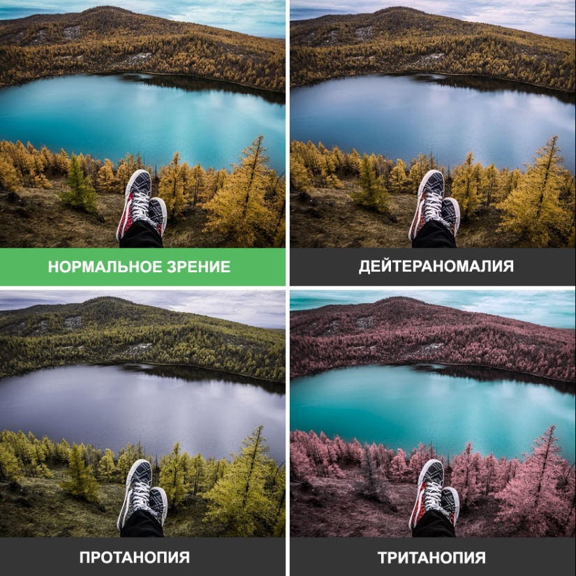 What the world looks like through the eyes of the colorblind