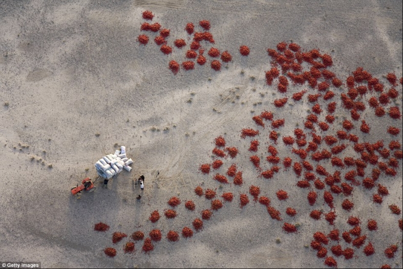 Where did everyone go? The amazing beauty of China without tourists