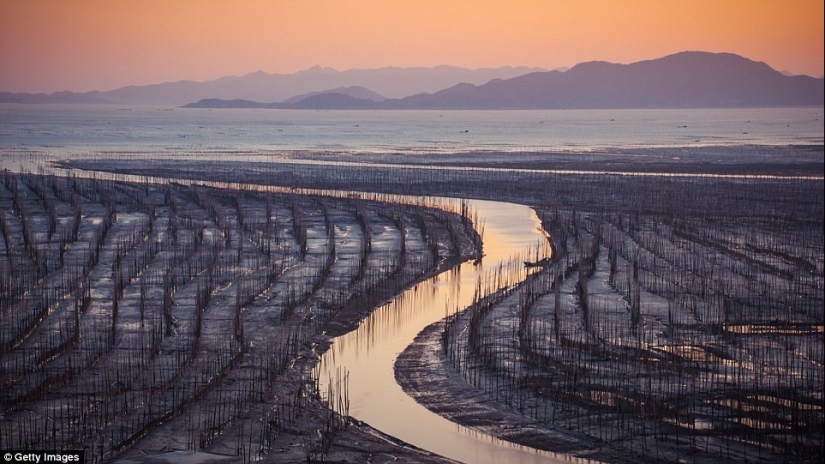 Where did everyone go? The amazing beauty of China without tourists