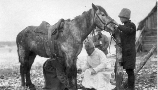 Who are farriers and why did their profession disappear?