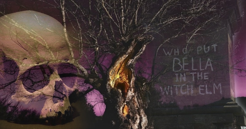 Who put Bella in the Witch's Elm? Britain's Most Mysterious Crime