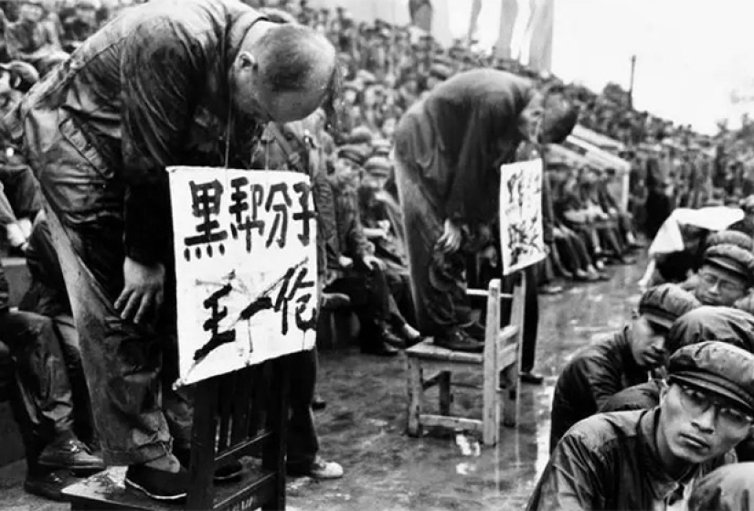 Who were the Red Guards of the Cultural Revolution