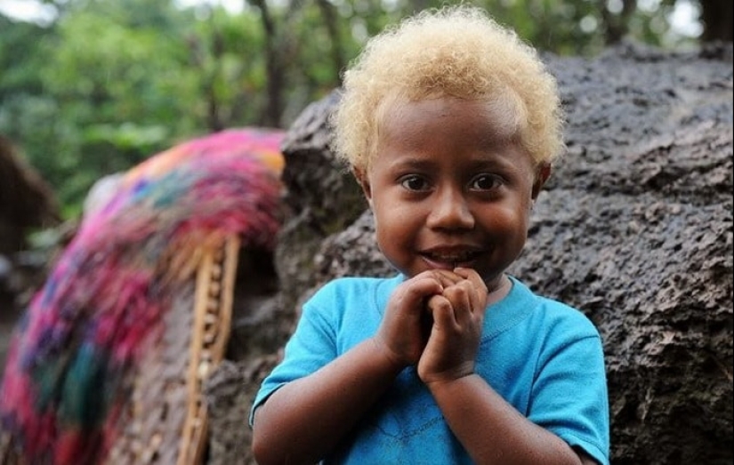 Why are dark-skinned blondes born in the Solomon Islands